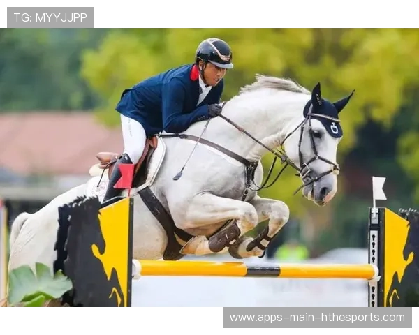 马术骑手与马匹默契成就冠军配对